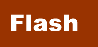 Flash